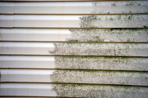 Best Dumpster Rental Services  in Taylorsville, NC